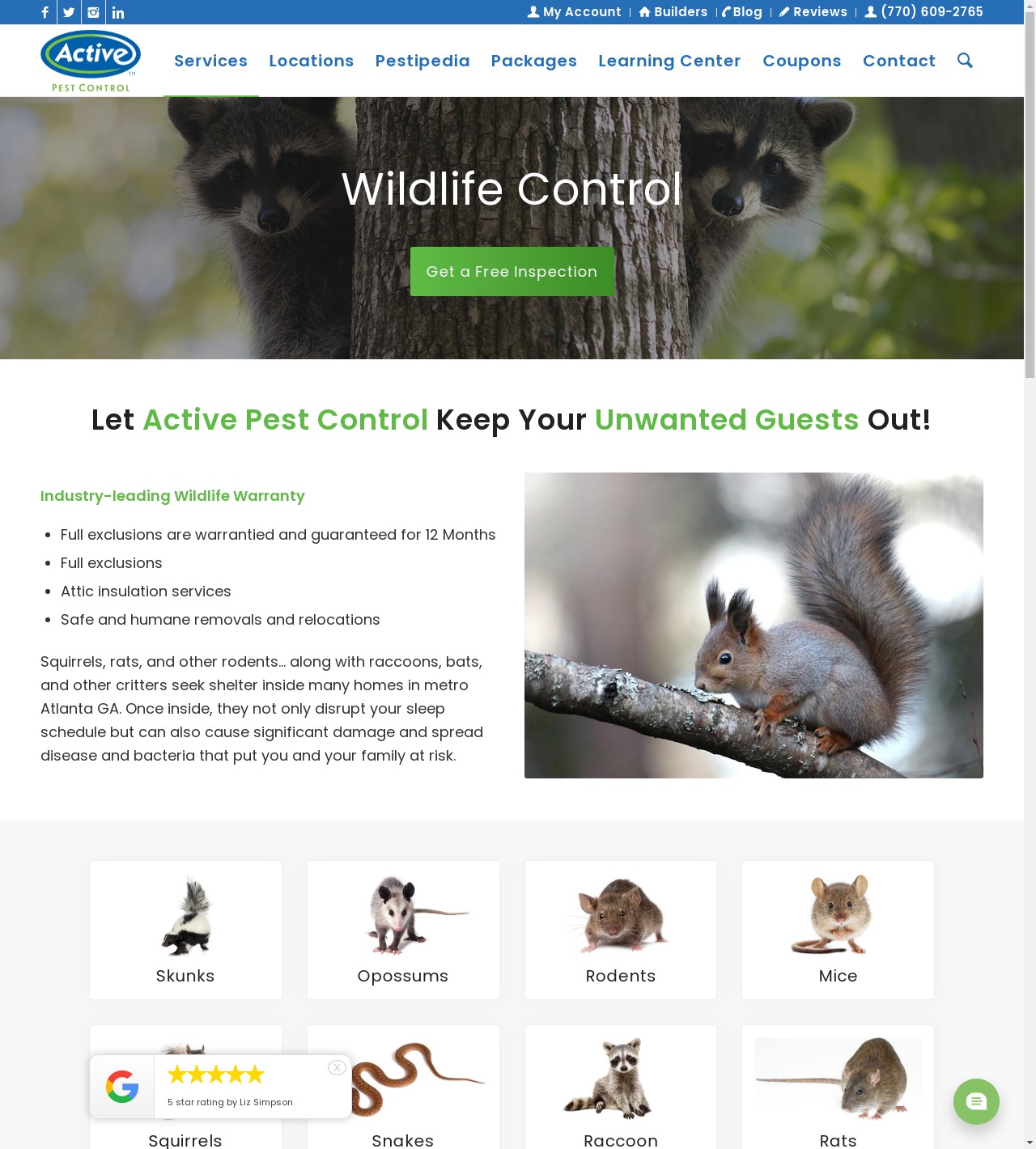 Lawrenceville Wildlife Control