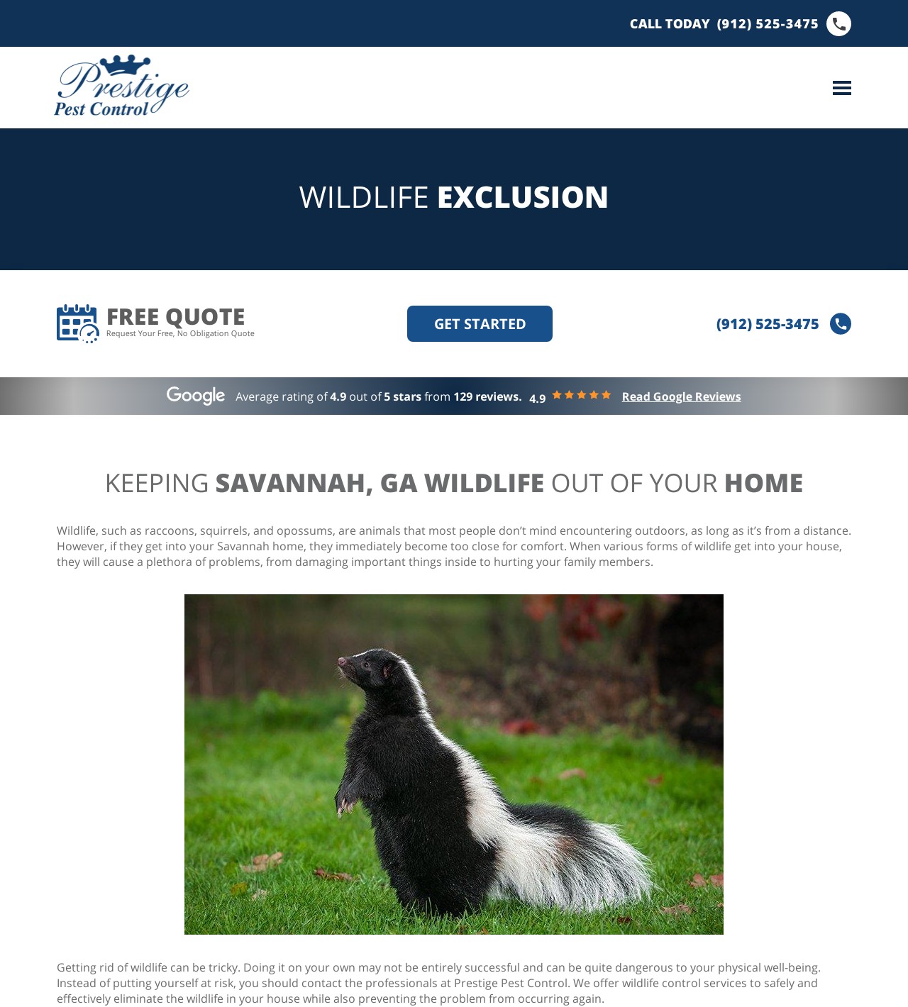 Savannah Wildlife Control